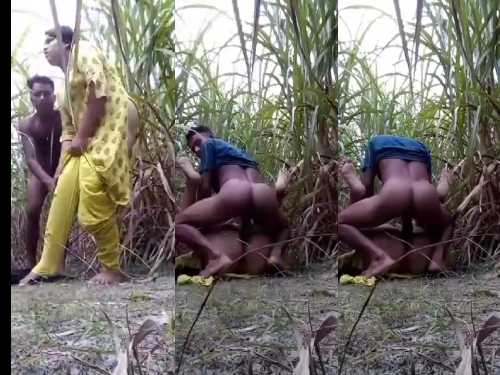 देसी आउटडोर सेक्स एमएमएस बिहारी लड़की की चूत चुदाई खेत में